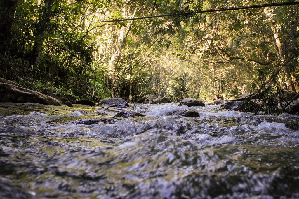 Pousada Riacho Da Serra Penedo  Eksteriør bilde